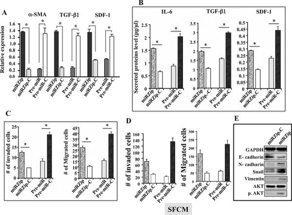 https://cdn.ncbi.nlm.nih.gov/pmc/blobs/88e3/4745778/50fa746bba66/oncotarget-06-30006-g004.jpg