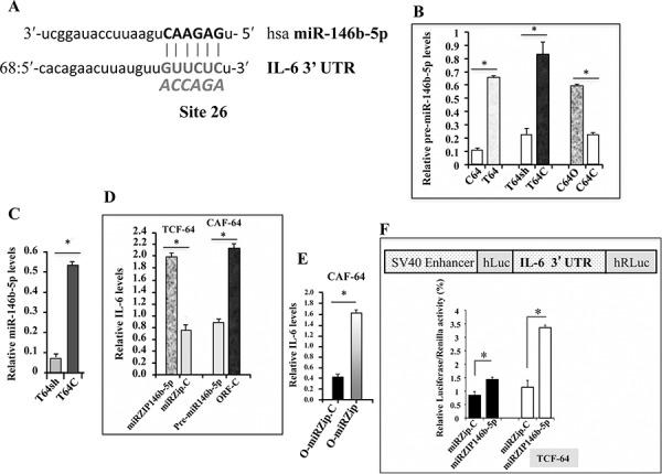 https://cdn.ncbi.nlm.nih.gov/pmc/blobs/88e3/4745778/81f45570235a/oncotarget-06-30006-g003.jpg