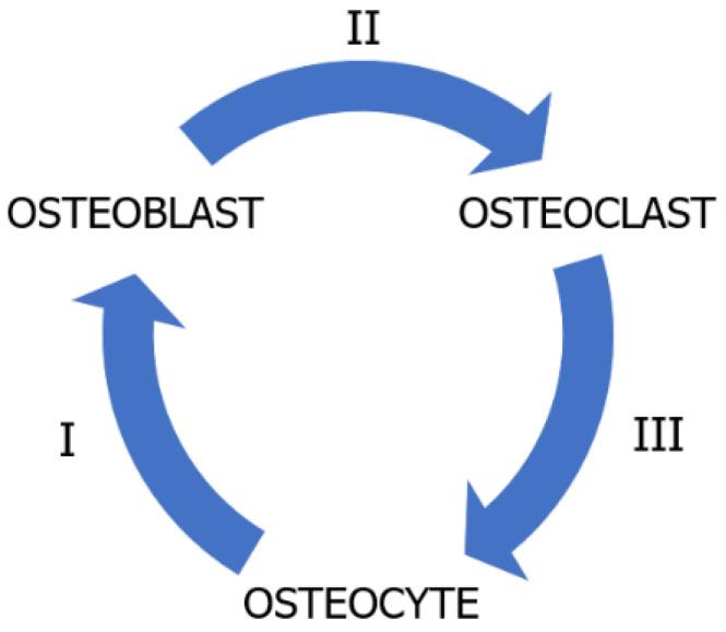 https://cdn.ncbi.nlm.nih.gov/pmc/blobs/88ec/10671727/5284601fe302/ijms-24-16180-g002.jpg