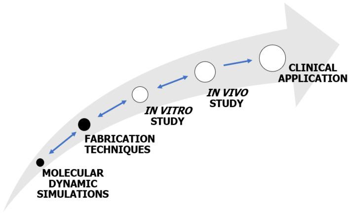 https://cdn.ncbi.nlm.nih.gov/pmc/blobs/88ec/10671727/803bdf0cf41a/ijms-24-16180-g012.jpg