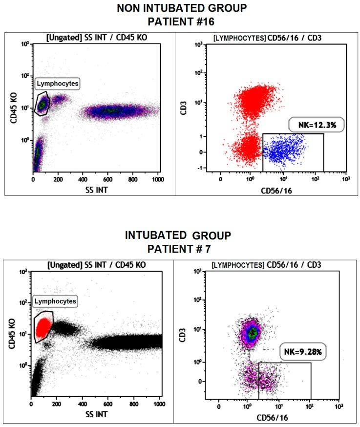 https://cdn.ncbi.nlm.nih.gov/pmc/blobs/88ec/5535957/f47fd53a49a1/ijms-18-01466-g002.jpg