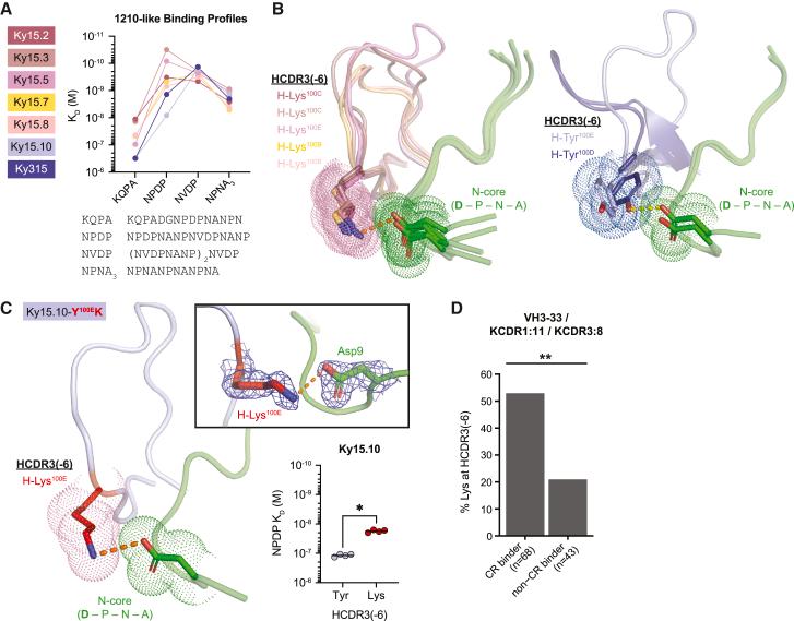 https://cdn.ncbi.nlm.nih.gov/pmc/blobs/88ed/10720262/27fdcc1b490f/gr5.jpg