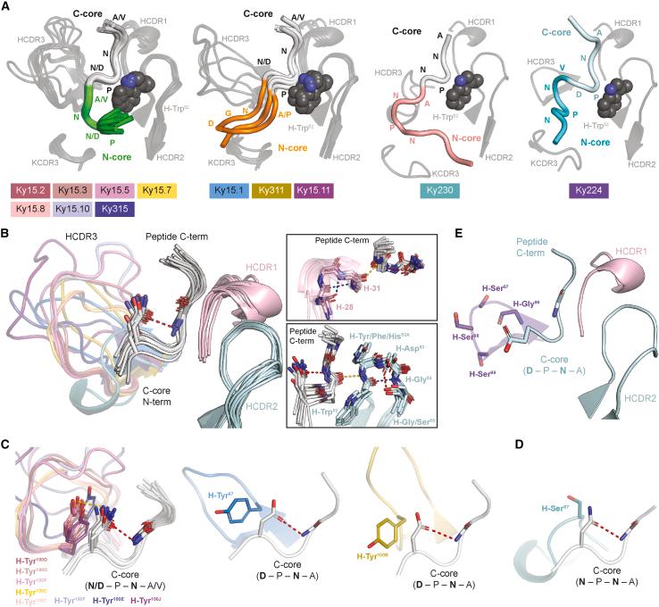 https://cdn.ncbi.nlm.nih.gov/pmc/blobs/88ed/10720262/4e647fcac955/gr3.jpg
