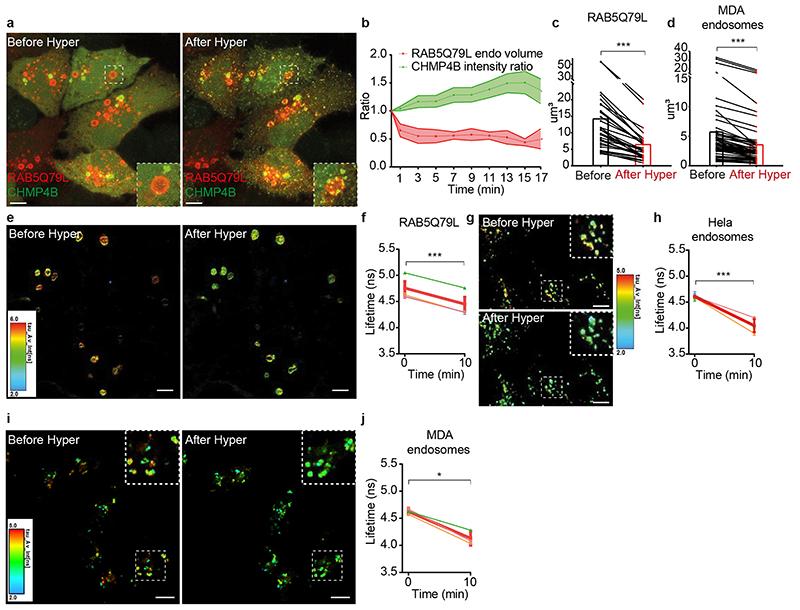 https://cdn.ncbi.nlm.nih.gov/pmc/blobs/88ee/7612185/e84c160154df/EMS118425-f003.jpg