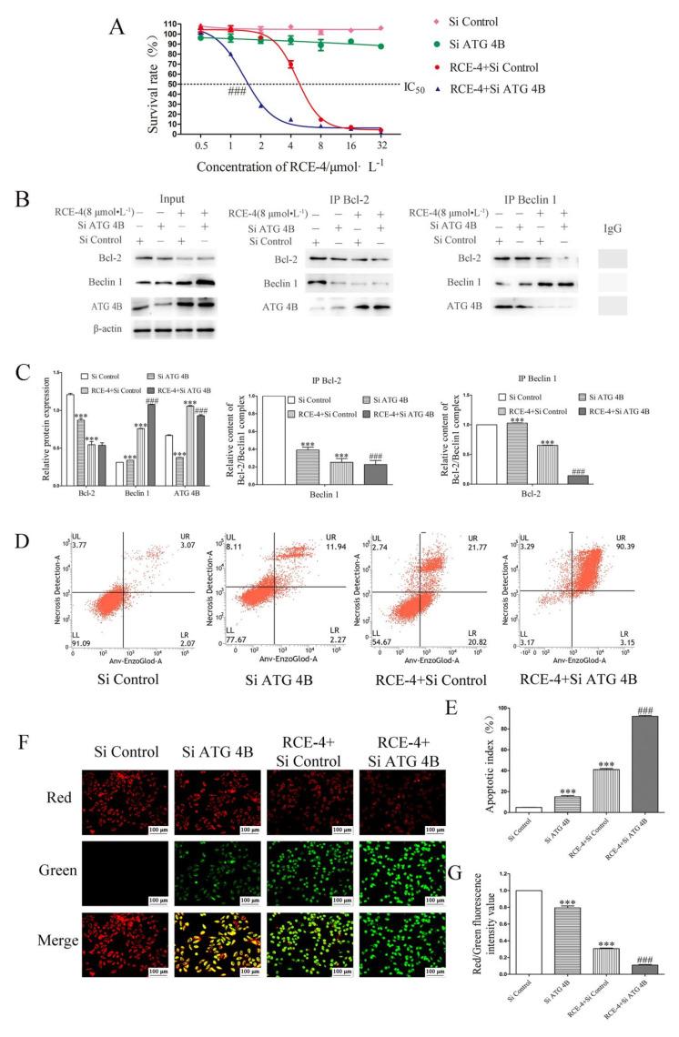 https://cdn.ncbi.nlm.nih.gov/pmc/blobs/88ef/8617943/571f1ec07c6a/ijms-22-12302-g007.jpg