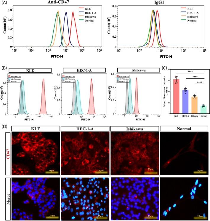 https://cdn.ncbi.nlm.nih.gov/pmc/blobs/88f2/12079536/da41e37a826a/BTM2-10-e10754-g001.jpg