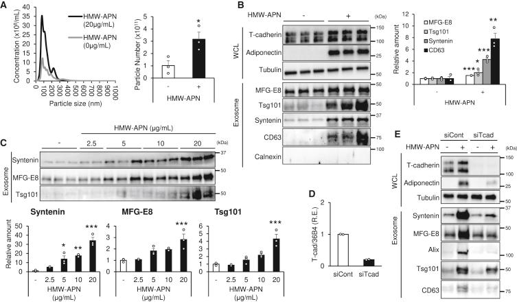 https://cdn.ncbi.nlm.nih.gov/pmc/blobs/88f3/7544974/31f319aa85b6/gr1.jpg