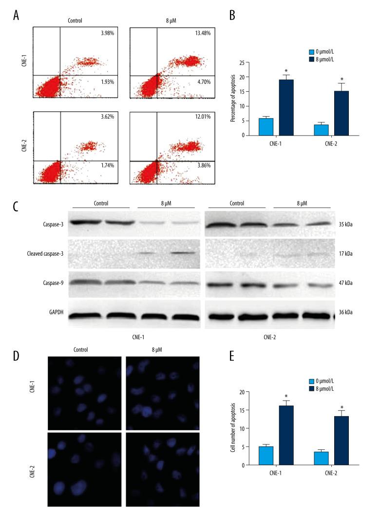 https://cdn.ncbi.nlm.nih.gov/pmc/blobs/88f7/8690047/f0066db7ca31/medscimonit-27-e931970-g002.jpg