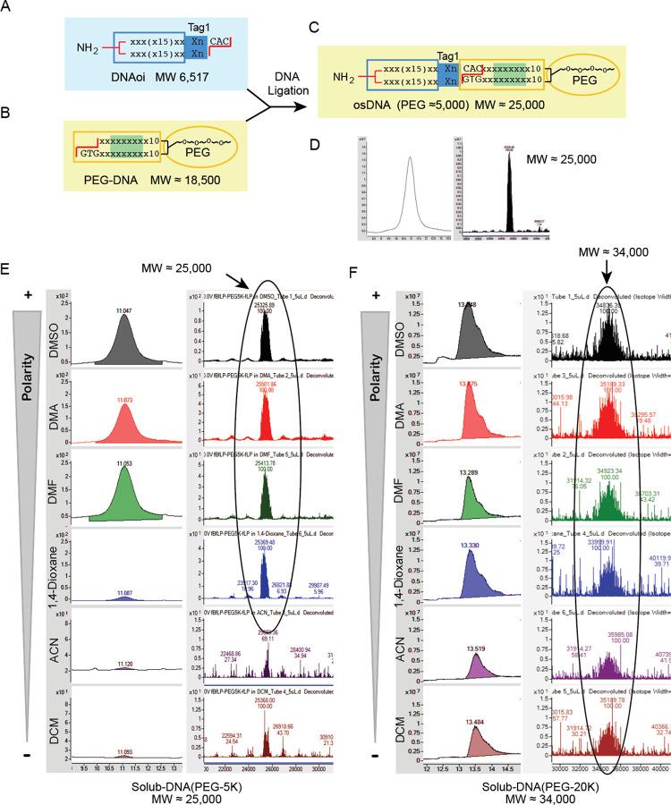 https://cdn.ncbi.nlm.nih.gov/pmc/blobs/88f8/10993399/58afaeaf9820/ao3c06755_0003.jpg