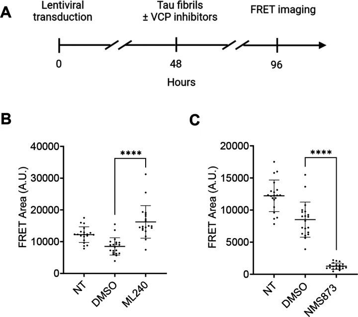 https://cdn.ncbi.nlm.nih.gov/pmc/blobs/88fd/11142303/201920836c4c/nihpp-rs4307848v1-f0006.jpg