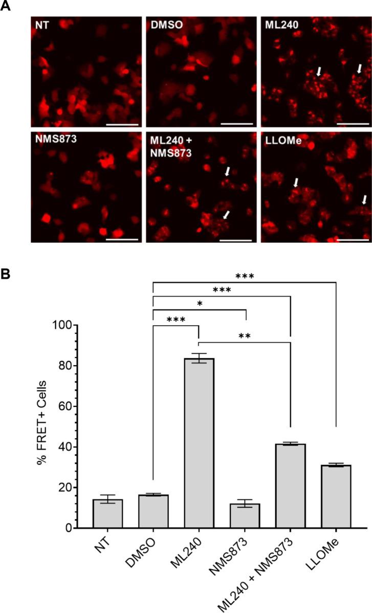 https://cdn.ncbi.nlm.nih.gov/pmc/blobs/88fd/11142303/61b0d4fdb9a0/nihpp-rs4307848v1-f0004.jpg
