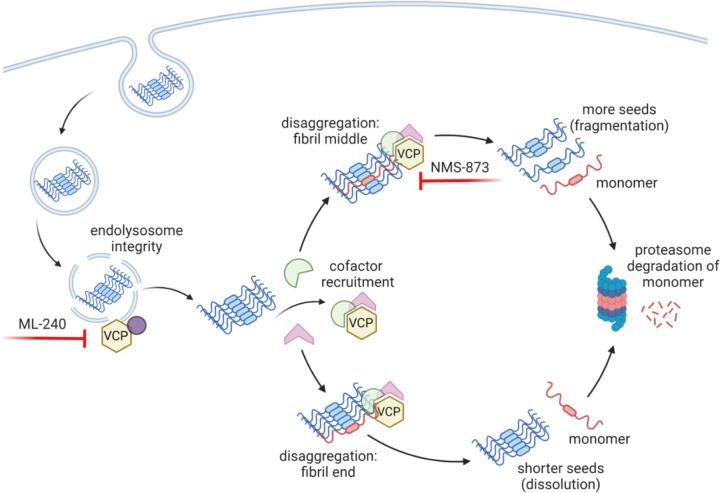 https://cdn.ncbi.nlm.nih.gov/pmc/blobs/88fd/11142303/a0b02c313c7a/nihpp-rs4307848v1-f0009.jpg