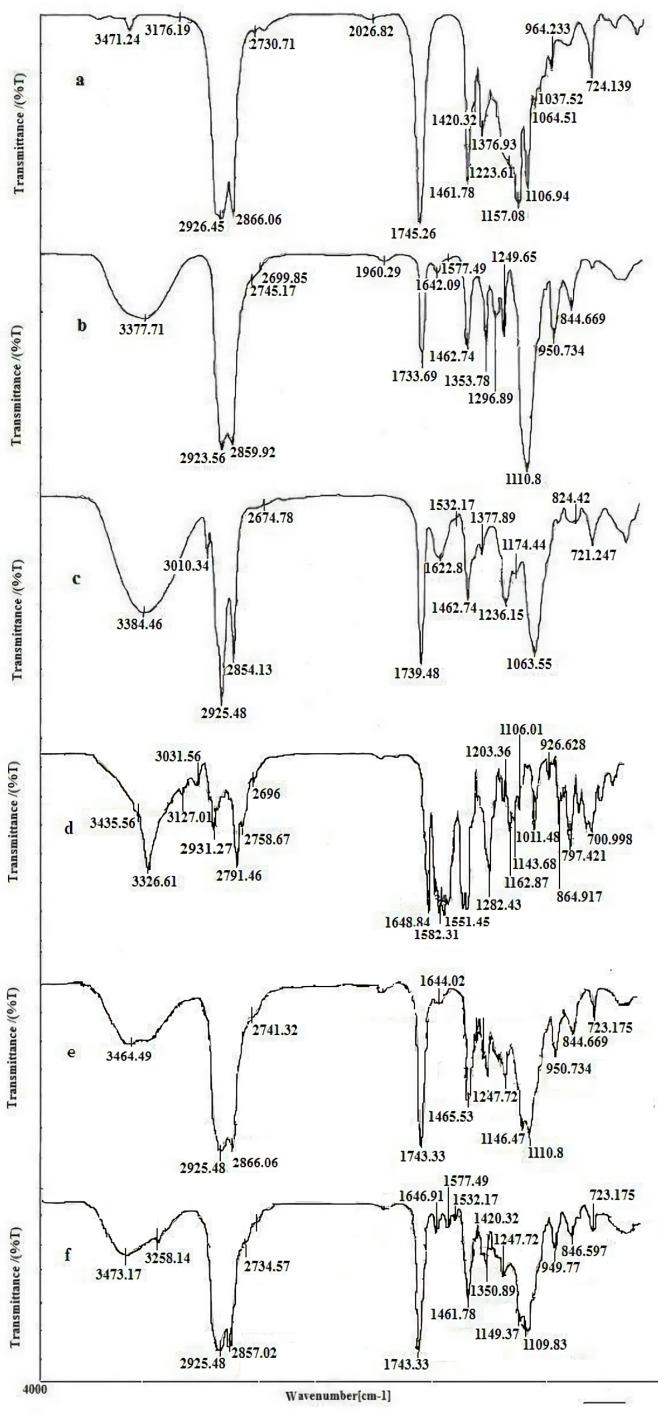 https://cdn.ncbi.nlm.nih.gov/pmc/blobs/88fd/7059069/5d8528593578/ijpr-18-1676-g008.jpg