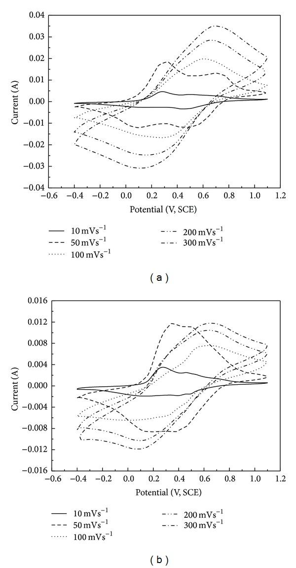 https://cdn.ncbi.nlm.nih.gov/pmc/blobs/88ff/3817634/171707cc4823/TSWJ2013-940153.006.jpg