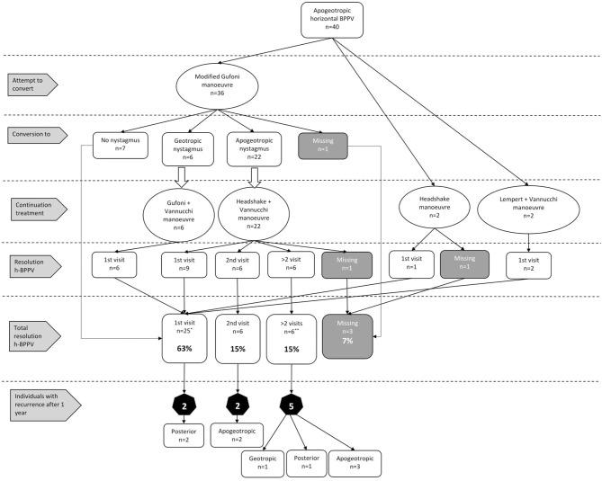https://cdn.ncbi.nlm.nih.gov/pmc/blobs/8902/8326322/4141e8059e0c/fneur-12-720444-g0002.jpg
