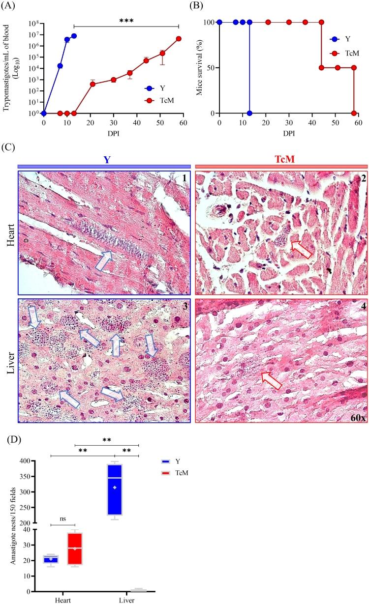 https://cdn.ncbi.nlm.nih.gov/pmc/blobs/8902/9325899/6d932d096a91/gr4.jpg