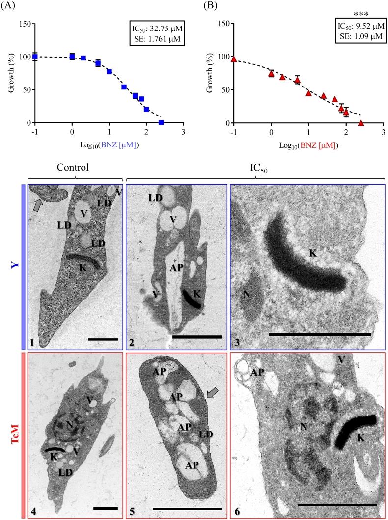 https://cdn.ncbi.nlm.nih.gov/pmc/blobs/8902/9325899/e120fc41826d/gr6.jpg