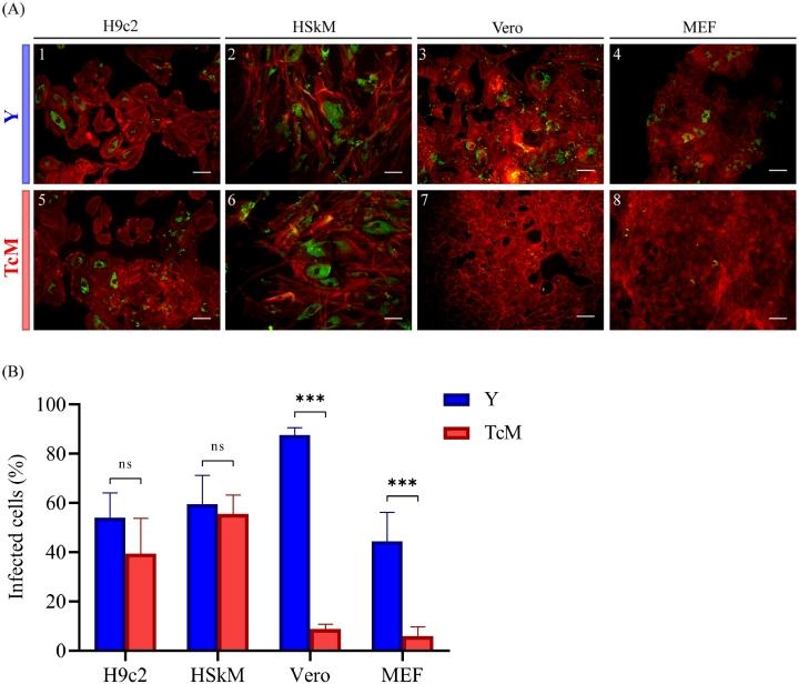 https://cdn.ncbi.nlm.nih.gov/pmc/blobs/8902/9325899/f714988245d0/gr3.jpg
