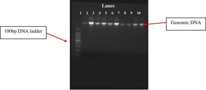 https://cdn.ncbi.nlm.nih.gov/pmc/blobs/8902/9648817/48b0737e73da/pone.0276021.g001.jpg