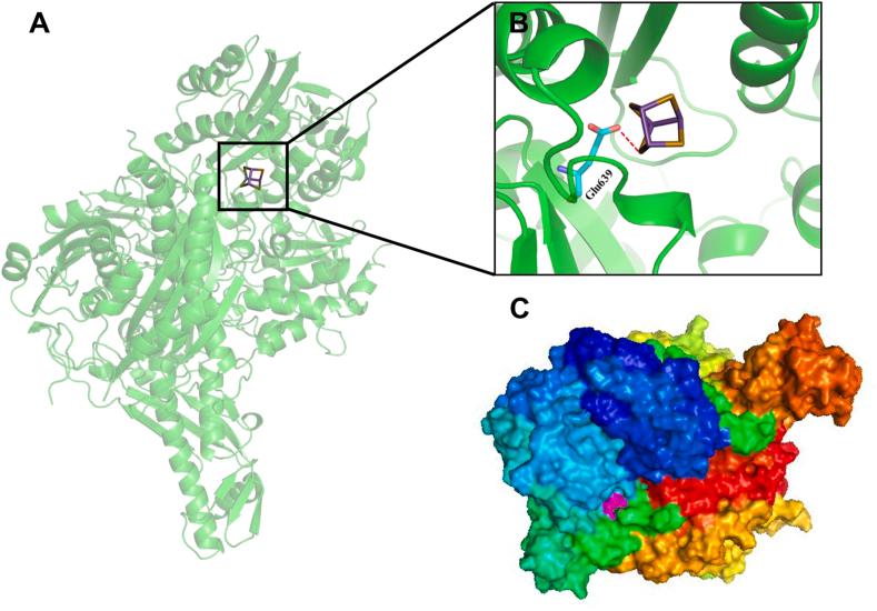 https://cdn.ncbi.nlm.nih.gov/pmc/blobs/8903/9849977/4219b7b2b539/gr4.jpg