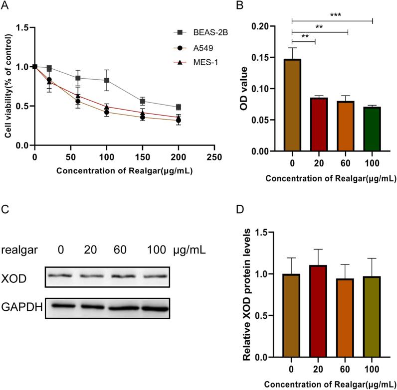 https://cdn.ncbi.nlm.nih.gov/pmc/blobs/8903/9849977/70b1eca77c9f/gr5.jpg