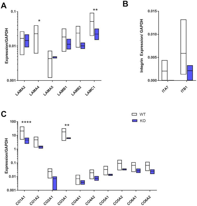 https://cdn.ncbi.nlm.nih.gov/pmc/blobs/8904/7940610/018c0d024bed/41598_2021_84828_Fig2_HTML.jpg