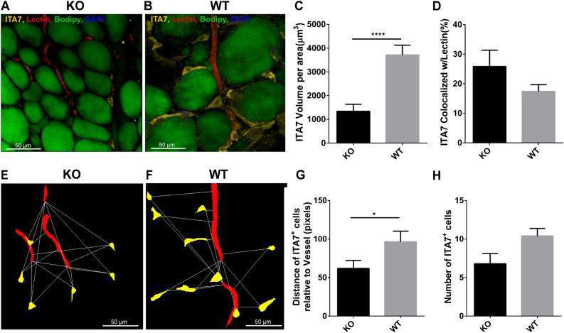 https://cdn.ncbi.nlm.nih.gov/pmc/blobs/8904/7940610/0dbf37ac9f40/41598_2021_84828_Fig5_HTML.jpg