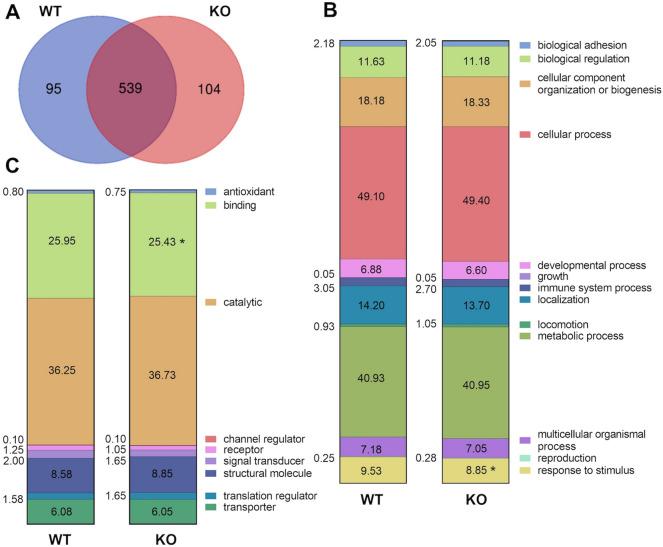https://cdn.ncbi.nlm.nih.gov/pmc/blobs/8904/7940610/75d4c46770d1/41598_2021_84828_Fig1_HTML.jpg