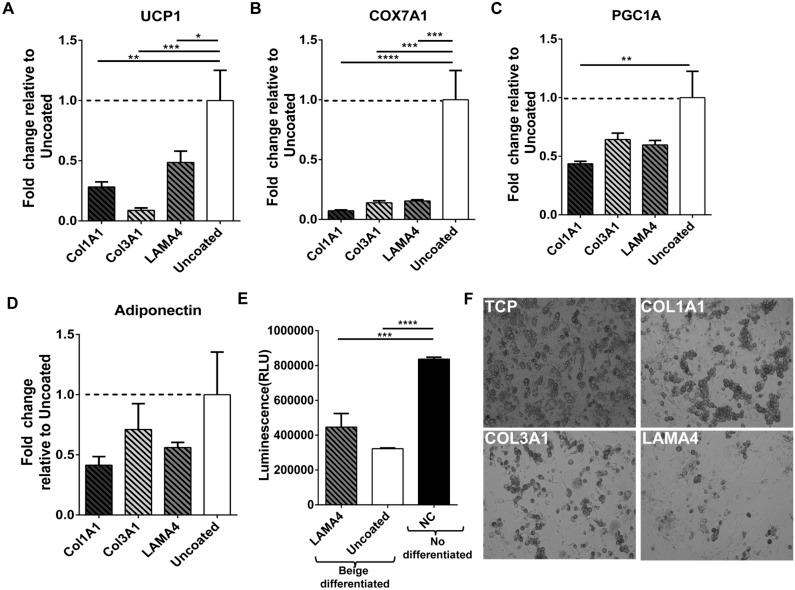 https://cdn.ncbi.nlm.nih.gov/pmc/blobs/8904/7940610/9788630da958/41598_2021_84828_Fig3_HTML.jpg