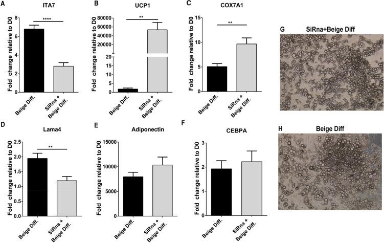 https://cdn.ncbi.nlm.nih.gov/pmc/blobs/8904/7940610/a8d94bd845ac/41598_2021_84828_Fig7_HTML.jpg