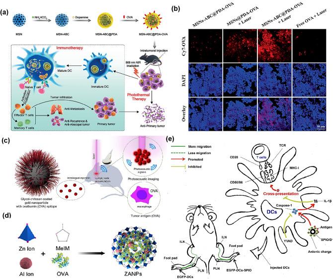 https://cdn.ncbi.nlm.nih.gov/pmc/blobs/8905/10239433/375e4685207a/40820_2023_1125_Fig7_HTML.jpg