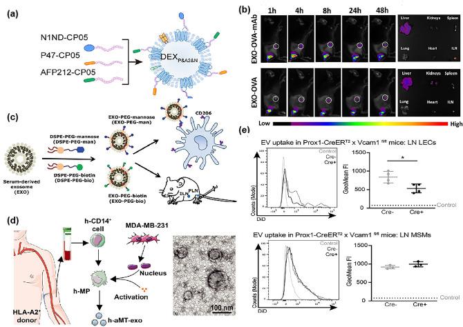 https://cdn.ncbi.nlm.nih.gov/pmc/blobs/8905/10239433/8c5c32edf188/40820_2023_1125_Fig8_HTML.jpg
