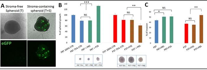https://cdn.ncbi.nlm.nih.gov/pmc/blobs/8906/5077988/c85c14e29175/oncotarget-07-31955-g004.jpg