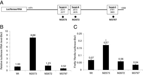 https://cdn.ncbi.nlm.nih.gov/pmc/blobs/8907/3706266/f4ac72062c25/1476-4598-11-58-3.jpg