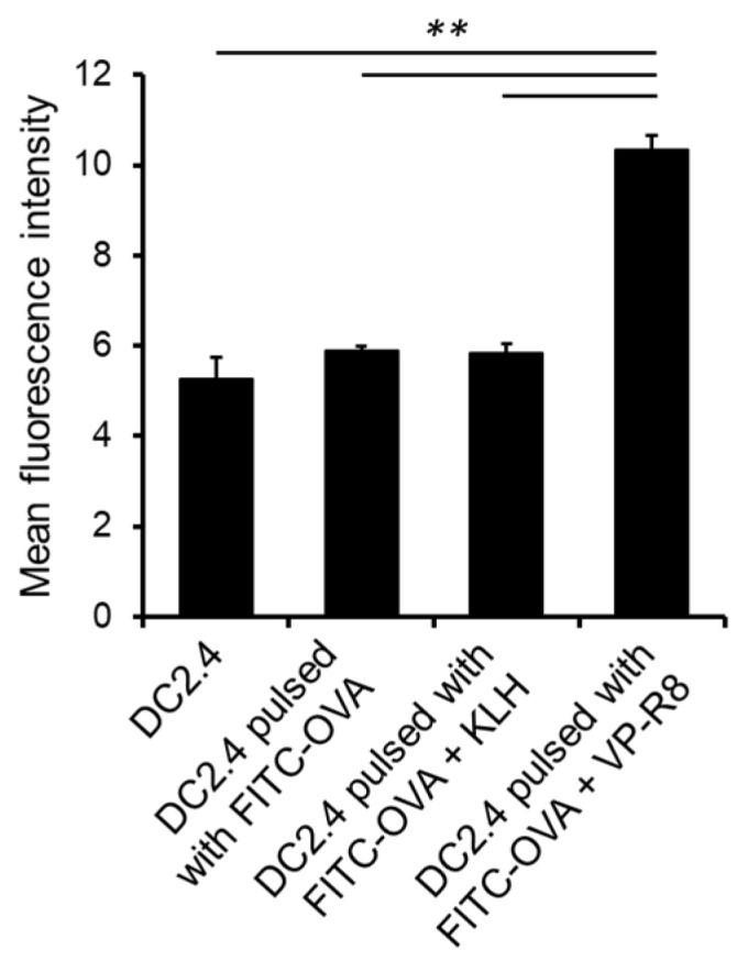 https://cdn.ncbi.nlm.nih.gov/pmc/blobs/8908/11173103/1cc7c3b4e4b9/ijms-25-05997-g001.jpg