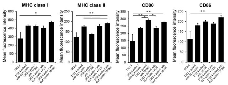 https://cdn.ncbi.nlm.nih.gov/pmc/blobs/8908/11173103/b7e7795129d8/ijms-25-05997-g003.jpg