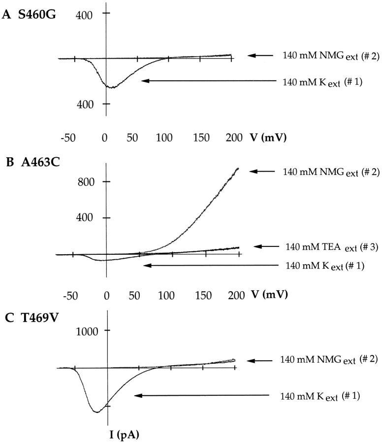 https://cdn.ncbi.nlm.nih.gov/pmc/blobs/8908/2525752/9ff825da708f/JGP7728.f3.jpg