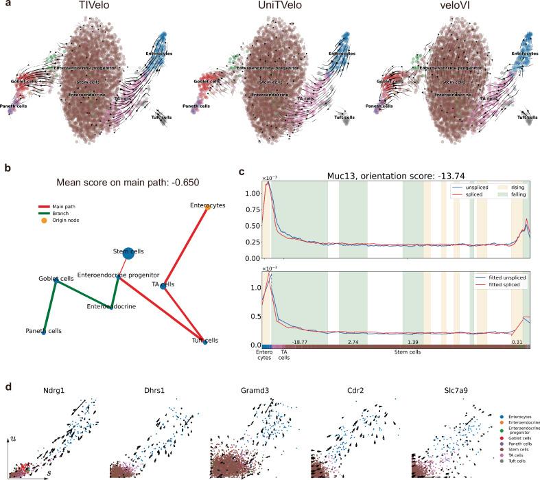 https://cdn.ncbi.nlm.nih.gov/pmc/blobs/890b/12234748/126d5823da3d/41467_2025_61628_Fig4_HTML.jpg