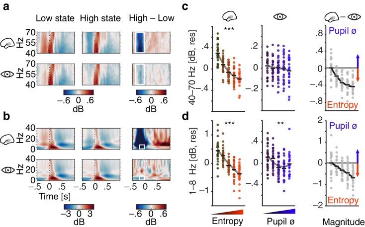 https://cdn.ncbi.nlm.nih.gov/pmc/blobs/890e/6946578/3a950925faff/elife-51501-fig3.jpg