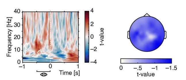 https://cdn.ncbi.nlm.nih.gov/pmc/blobs/890e/6946578/6d06a1f7cf7f/elife-51501-resp-fig1.jpg