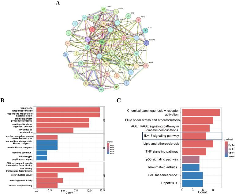 https://cdn.ncbi.nlm.nih.gov/pmc/blobs/890f/12234312/25126c78cc3a/fonc-15-1571537-g003.jpg
