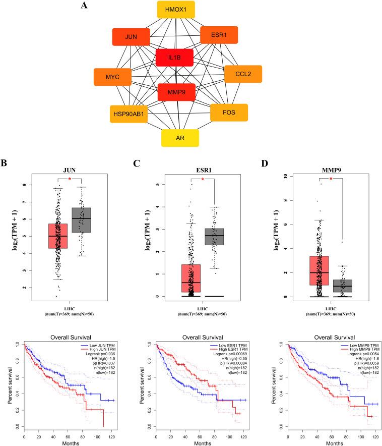 https://cdn.ncbi.nlm.nih.gov/pmc/blobs/890f/12234312/4917dcf8790c/fonc-15-1571537-g004.jpg