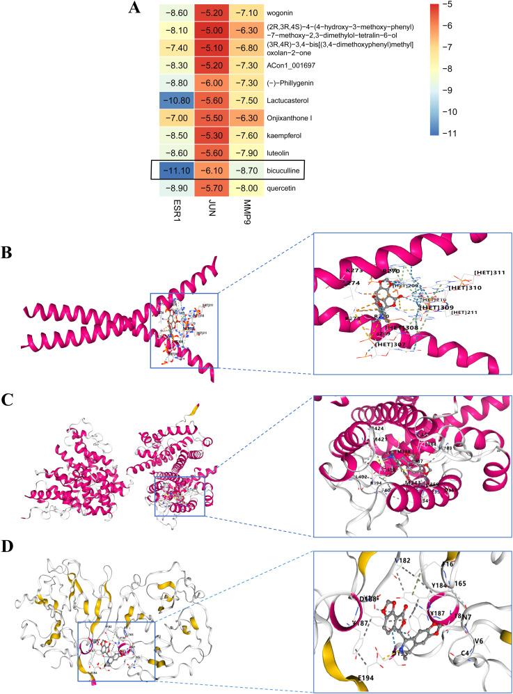 https://cdn.ncbi.nlm.nih.gov/pmc/blobs/890f/12234312/984b3bb87293/fonc-15-1571537-g005.jpg