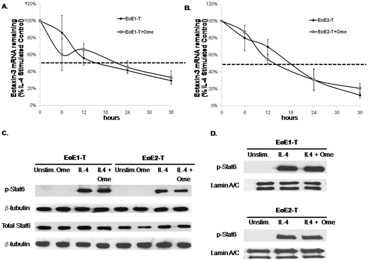 https://cdn.ncbi.nlm.nih.gov/pmc/blobs/890f/3503709/9d95debcbfb2/pone.0050037.g005.jpg