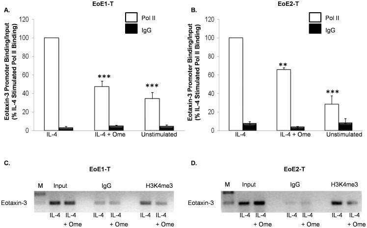 https://cdn.ncbi.nlm.nih.gov/pmc/blobs/890f/3503709/d99d243746c3/pone.0050037.g007.jpg