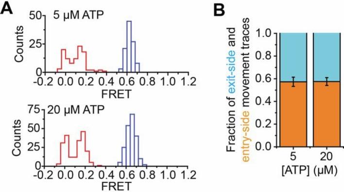 https://cdn.ncbi.nlm.nih.gov/pmc/blobs/8913/4769157/944e88e7bcdf/elife-10051-resp-fig1.jpg