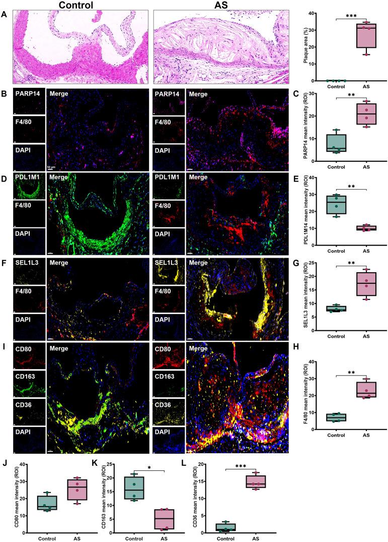 https://cdn.ncbi.nlm.nih.gov/pmc/blobs/8915/12221901/68cd2ee6bbde/fimmu-16-1557266-g011.jpg