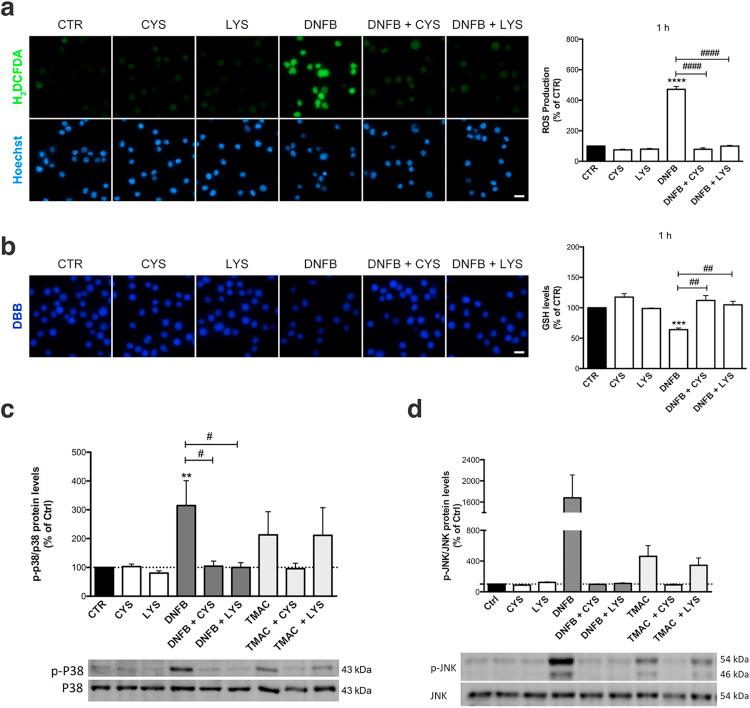https://cdn.ncbi.nlm.nih.gov/pmc/blobs/8915/5842329/3d7a54ec890a/gr5.jpg
