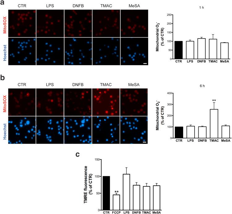 https://cdn.ncbi.nlm.nih.gov/pmc/blobs/8915/5842329/f4138bfb37c8/gr3.jpg