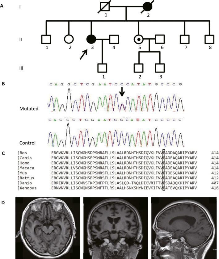 https://cdn.ncbi.nlm.nih.gov/pmc/blobs/8915/7545599/b6d947477371/ACN3-7-1985-g001.jpg